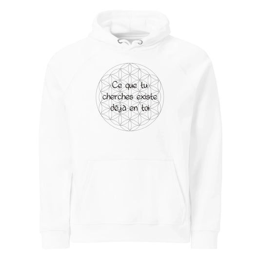 Hoodie raglan éco – Stylé et engagé