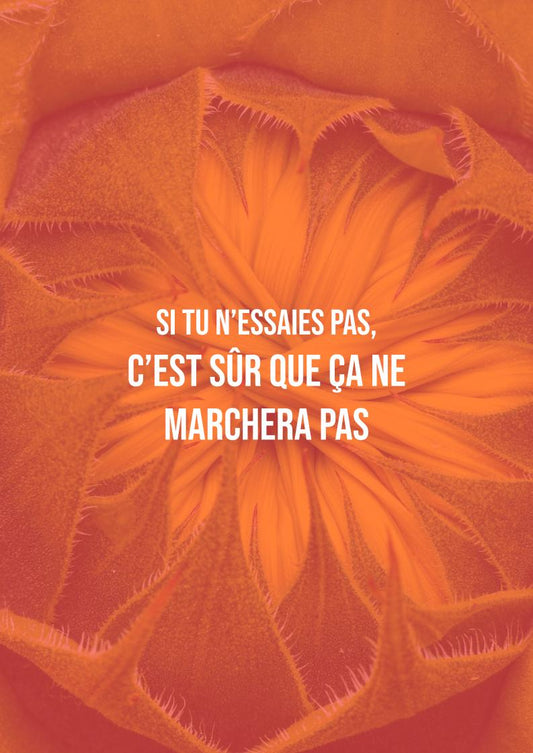 Si tu n'essaies pas, c'est sûr que ça ne marchera pas