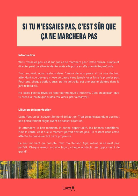 Si tu n'essaies pas, c'est sûr que ça ne marchera pas